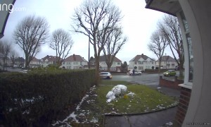 Snowman Destroyer At Large