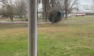 Nasty Storm Sends Trampoline Flying