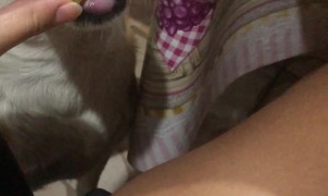 Boujee Doggie Likes Fries With Gravy