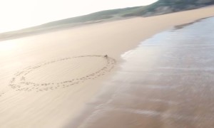 Dog Seen Running in Circles on Beach