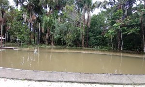 Auntie Misses The Lake