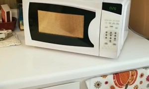 Malfunctioning Microwave Creates a Lightshow