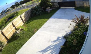 Driver Takes Roundabout Too Fast and Ends Up in the Ditch