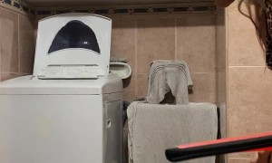 Woman Finds Rat in Washing Machine