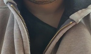 Cat Zips Up Man's Jacket