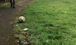 Kentucky Fried Wipeout