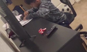 Child Uses Alexa to Help With Homework