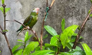 Bath Time Interrupted