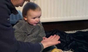 Buddy The Dog Upstages Baby Max