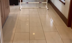 Alfie And Tobi Face Hurdles In Different Ways