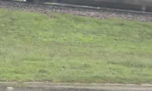 18-Wheeler Struck By Train