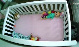 Quick Reactions From Dad