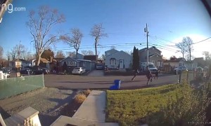 Daily Dose Of Ding Dong Ditching