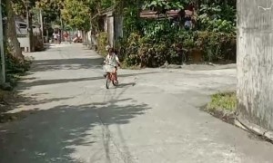 Girl Gives Her Pet Dog a Ride on a Bicycle