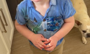 Smith Is Pretty Confident About This Phone Number