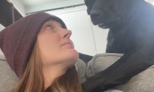 Looking for the Support Group for Mothers of Needy Puppies