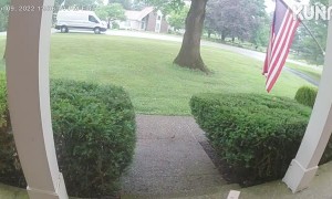 Delivery Driver Chased by Dog