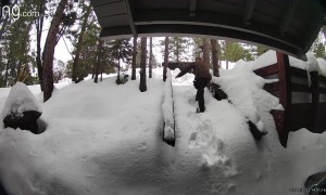 UPS Driver Trudges Through Snow-Covered Stairs to Deliver Package