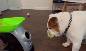 Still Haven’t Figure Out I’m Suppose to Move My Head