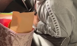 Wardrobe Cabinet Falls Apart