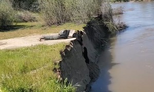 Police rescue dog from river