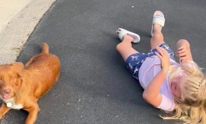 Girl and Dog Do Tricks Together