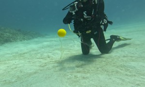 Cracking an Egg Open 12 Meters Underwater
