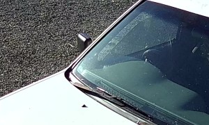 Side Mirror Decides It Is Done