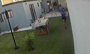 Jealous Cat Scales Its Owner