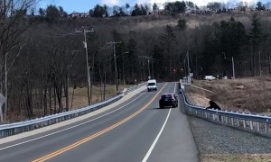 Mama Bear Helps Baby Cross The Road