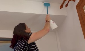 The Smart Countermove Of A Spider