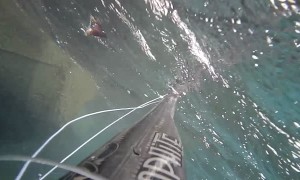 Frogfish Breaks Mans Speargun Band