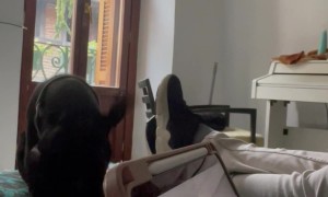 Competing For Dad's Attention