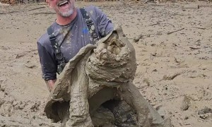 Participating in an Alligator Snapping Turtle Relocation Program