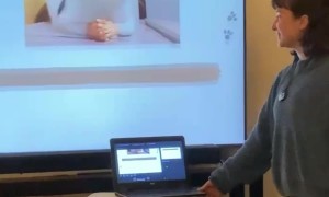 Reasons For Getting A Cat