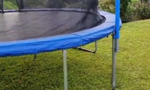 Dog Jumps Off Trampoline