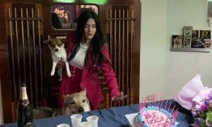 I Don't Know How the Cake Survived