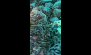 Going Under Ice During the Lowest Tides of the Year