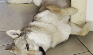 Ares Has a Funny Way of Relaxing