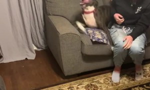 Dog Excited To See Soldier