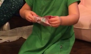 Toddler Is Thrilled to Get Toothbrushes