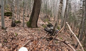 Enduro Riders Encounter Brown Bear on Trail