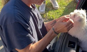 Dad Gets Emotional When Surprised With Two New Puppies