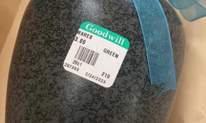 Girl Finds an Urn While Thrift Shopping