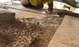 A Unique Way to Move Fast in Tight Spaces