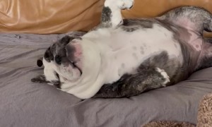 The Struggle Is Real When You're Chunky