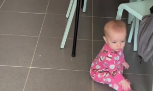 Kevin the Dog Isn't Interested in Sharing Food with Kiddo