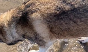 Springtime Ice Breaking