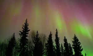 Multiple Stunning Auroras