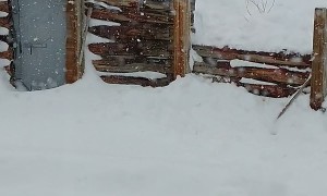 The Snow Is Officially One Child Deep